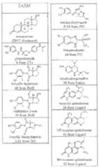 Figure imgf000038_0001