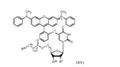 Figure imgf000187_0001