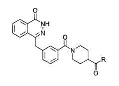 Figure 112005050535669-pct00050