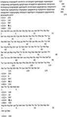 Figure ISA0000187956010000411