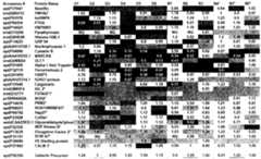 Figure imgf000152_0001