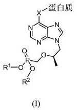 Figure 580114DEST_PATH_IMAGE006