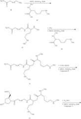 Figure US10683499-20200616-C00137