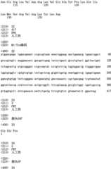 Figure IPA0000296957260000141