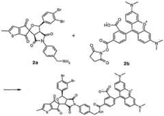 Figure imgf000026_0001