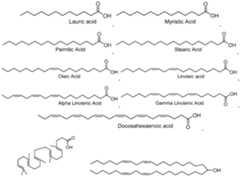 Figure imgf000697_0001