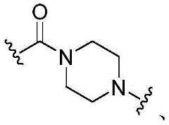 Figure FDA0002889616210000145