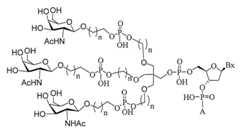 Figure 2023012548000236