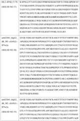 Figure imgf000076_0001