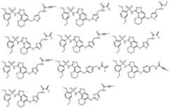 Figure imgf000077_0001