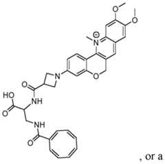 Figure imgf000077_0001