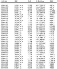 Figure BDA0003068966100000031