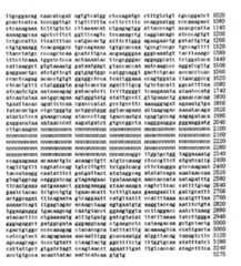 Figure IPA00001388922300481