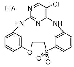 Figure imgf000608_0001