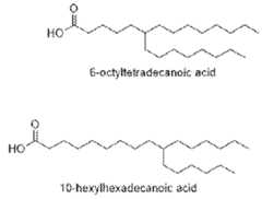 Figure imgf000018_0001