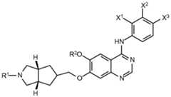 Figure imgf000004_0001