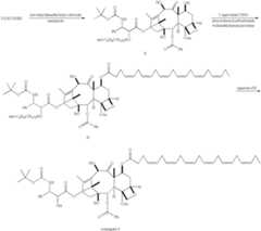 Figure US07199151-20070403-C00011