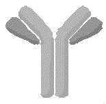 Figure FDA0003376679430000152