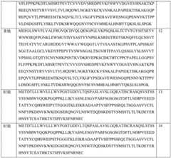 Figure BDA0003650911420000101