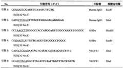 Figure BPA0000228806720000161