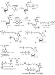 Figure BDA0003670511740004441