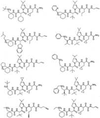 Figure imgf000311_0001