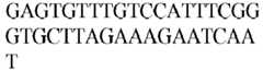 Figure imgb0590