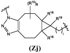 Figure FDA0003131611260000081