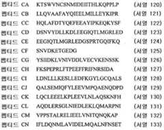 Figure 112010053840342-pct00018