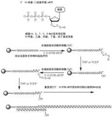 Figure BDA0003670511740004661