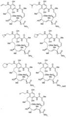 Figure imgf000006_0001