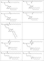 Figure imgf000011_0001