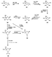 Figure 0007417529000036