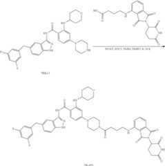 Figure US11969472-20240430-C00171