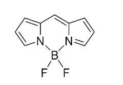 Figure imgf000167_0001