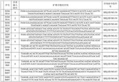 Figure BDA0002890777720000042