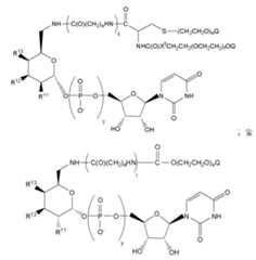 Figure 112009026250918-PCT00187