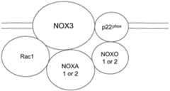 Figure imgf000009_0001