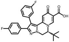 Figure BDA0003141290410002263