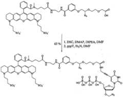 Figure imgf000062_0001