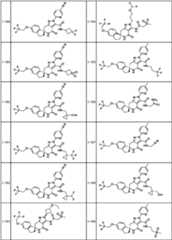 Figure JPOXMLDOC01-appb-T000124