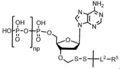 Figure imgf000222_0002