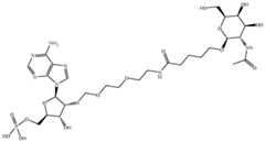 Figure imgf000039_0001