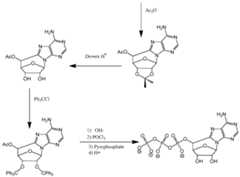 Figure imgf000741_0002