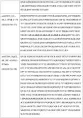 Figure imgf000078_0001