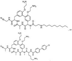 Figure imgf000106_0001