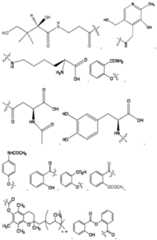 Figure imgf000019_0001
