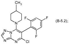 Figure imgf000010_0002