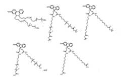 Figure imgf000026_0001