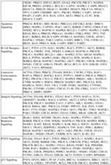 Figure imgf000451_0001